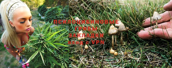 стафф Ладушкин
