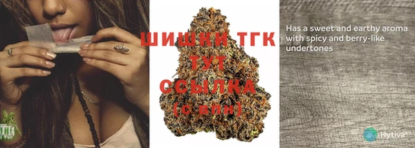 стафф Ладушкин