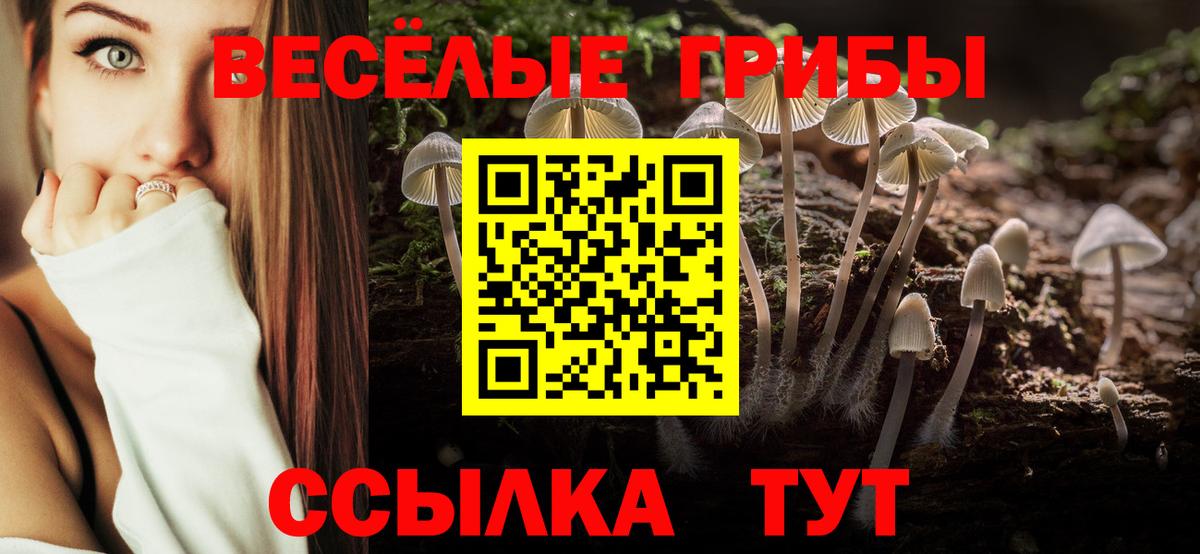 Галлюциногенные грибы MAGIC MUSHROOMS Ухта